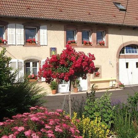 Chambre D'Hote Au Grenier D'Abondance Niderviller Esterno foto