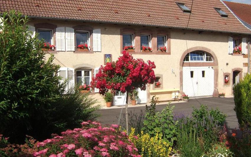 Chambre D'Hote Au Grenier D'Abondance Niderviller Esterno foto